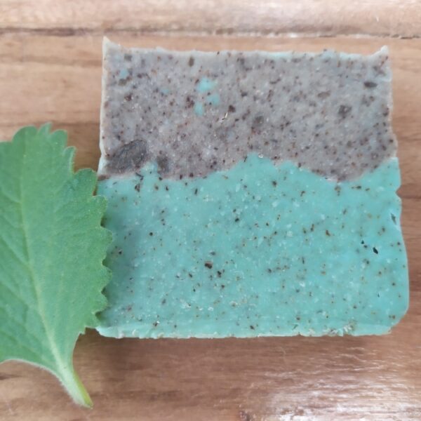 JABON DE OREGANO <br>(Origanum Vulgare)