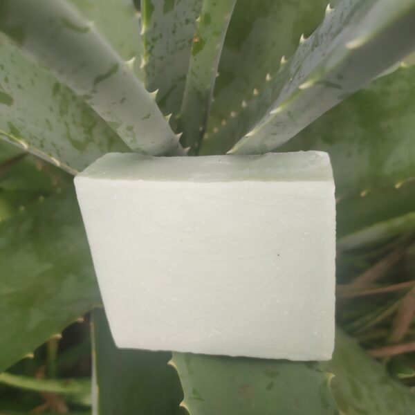 JABON DE SABILA <br>(Aloe Vera)